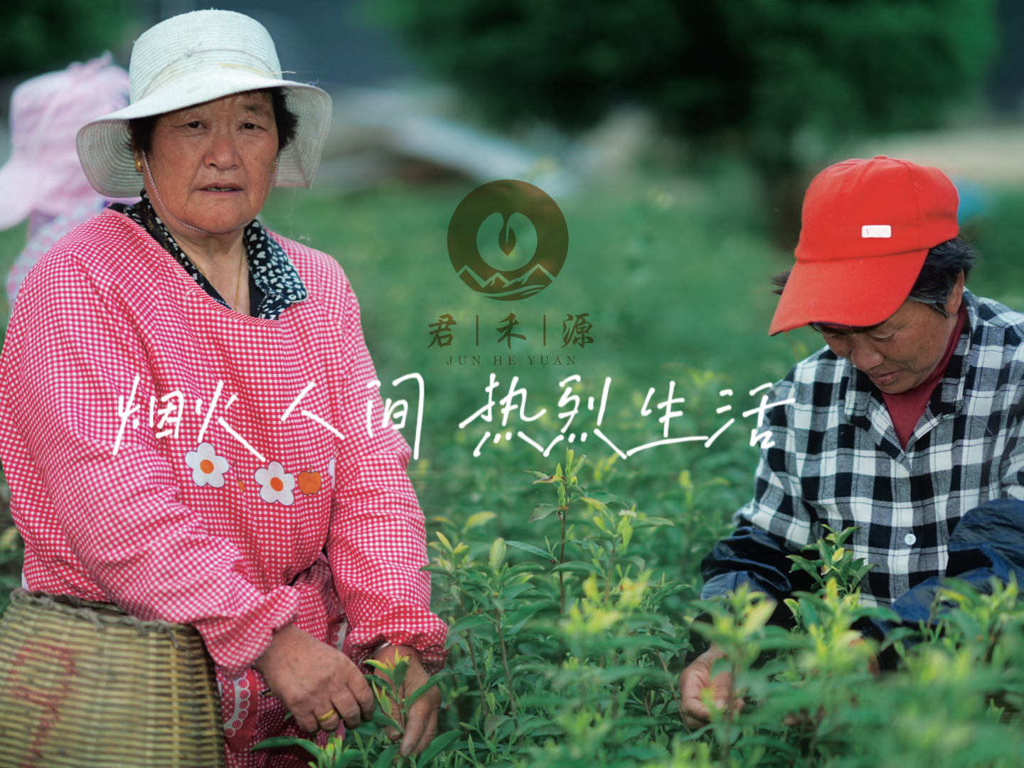 微信图片_20220506202327.jpg